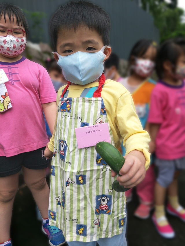 5.你看我摘的小黃瓜