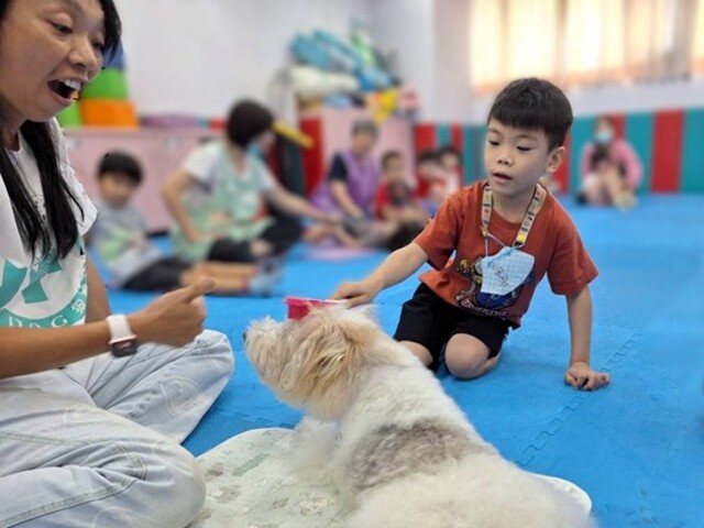 幫狗醫生梳毛，真厲害
