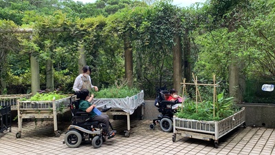 園藝治療師引導小如(左一)仔細觀察植物