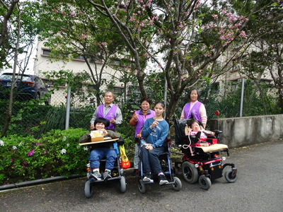 八里愛心教養院志工推輪椅陪院生在吉野櫻花樹下野餐